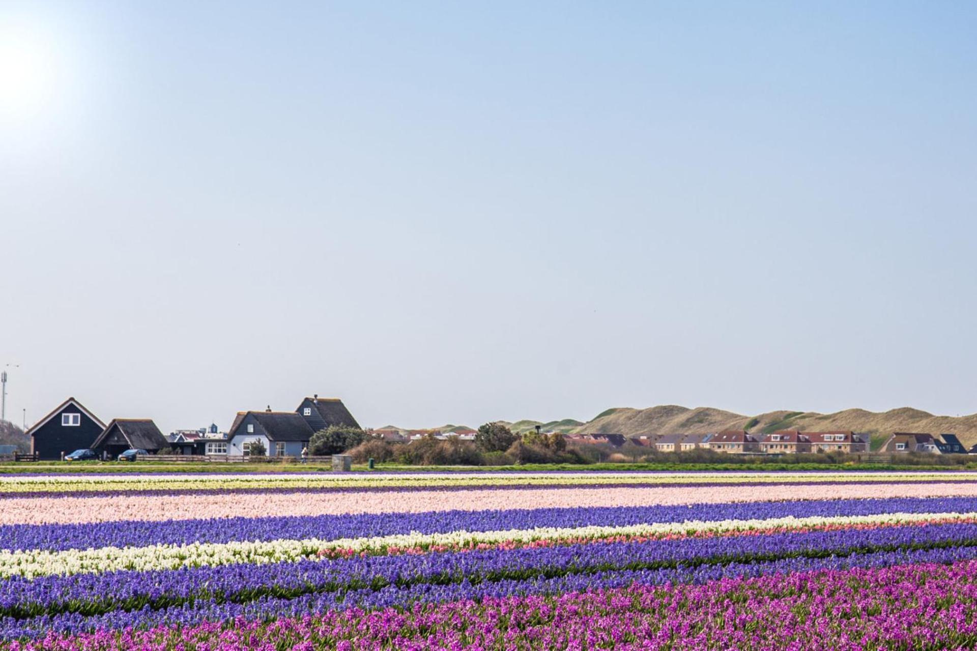 Duinland 251 - Park Duinland Sint Maartenszee Sint Maartensvlotbrug Ngoại thất bức ảnh